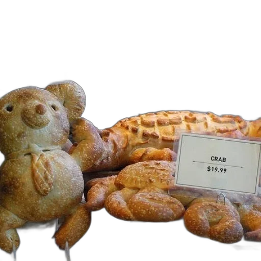 food, animal, creature, robot transparent PNG cut-out
