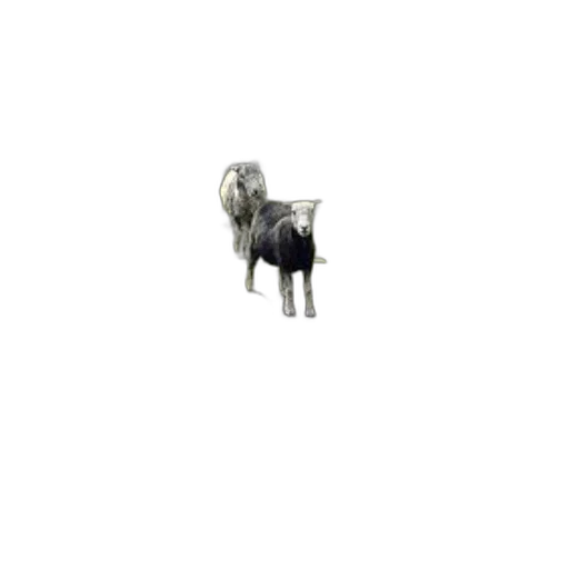 animal, robot, jewelry, furniture transparent PNG cut-out