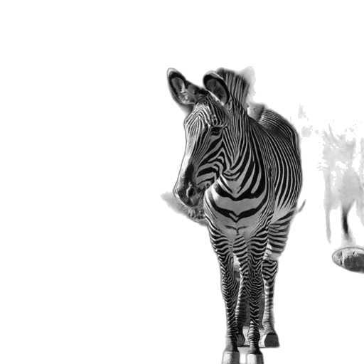 animal, creature, 3d render, concept art transparent PNG cut-out