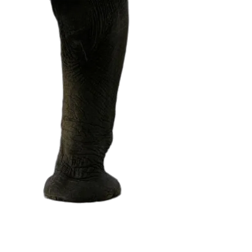 staff, shoes, animal, weapon transparent PNG cut-out
