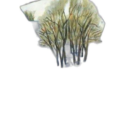 crown, tree, hat, hair transparent PNG cut-out