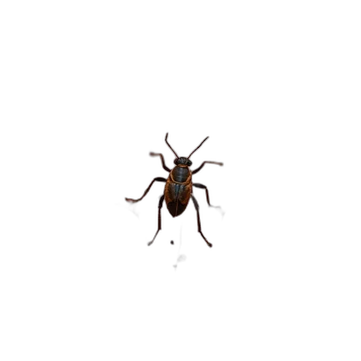 animal, creature, dragon, furniture transparent PNG cut-out