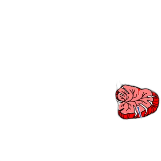 crown, hat, shoes, flower transparent PNG cut-out