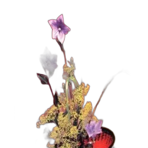 flower, crown, staff, jewelry transparent PNG cut-out