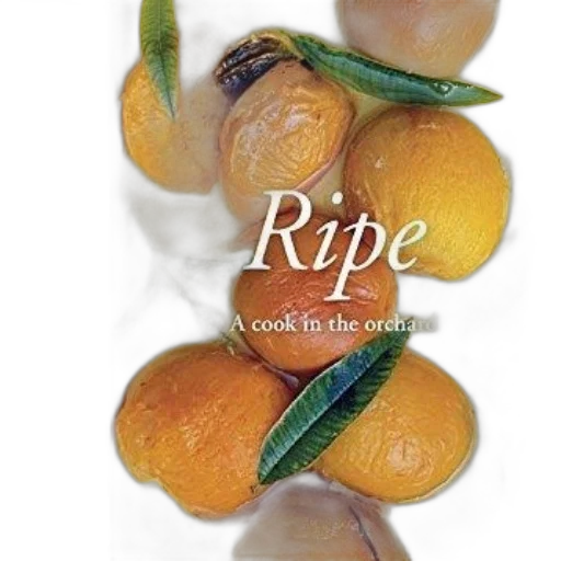 food, cover, ripe, cook transparent PNG cut-out