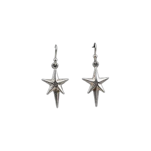 jewelry, pair, silver, earrings transparent PNG cut-out