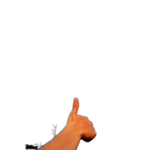 staff, animal, weapon, creature transparent PNG cut-out
