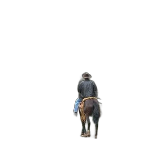 animal, jacket, hat, staff transparent PNG cut-out
