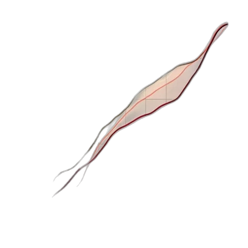 hair, staff, animal, weapon transparent PNG cut-out