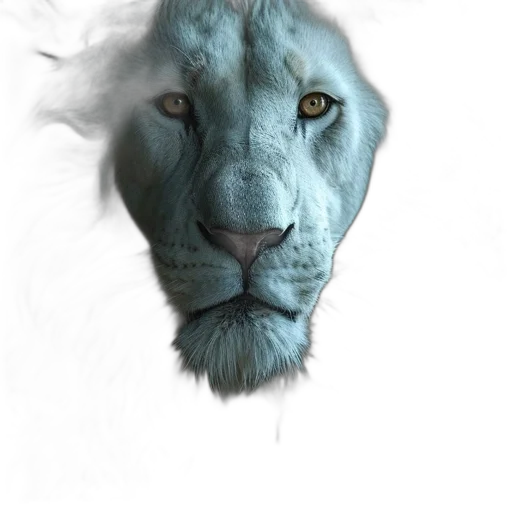 animal, face, creature, mask transparent PNG cut-out