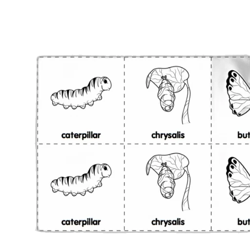 creature, jewelry, mask, animal transparent PNG cut-out