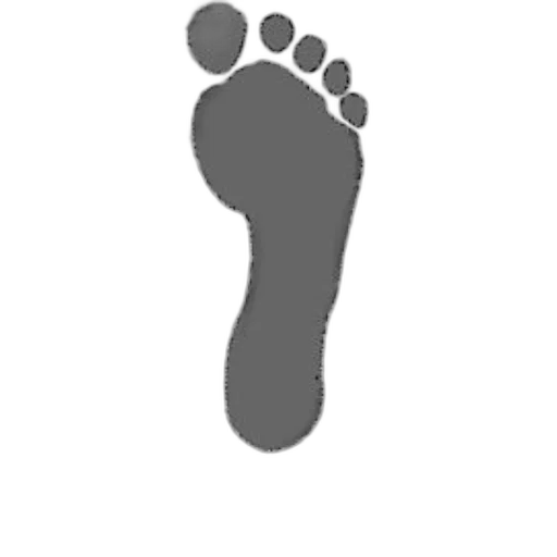 shoes, staff, face, animal transparent PNG cut-out