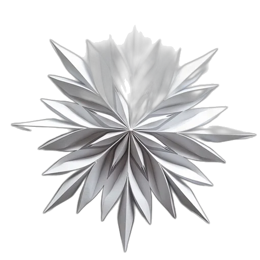 flower, crown, jewelry, umbrella transparent PNG cut-out