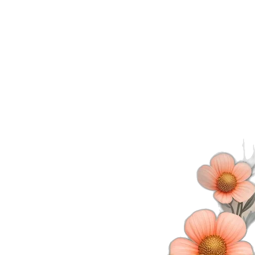 flower, crown, dress, jewelry transparent PNG cut-out