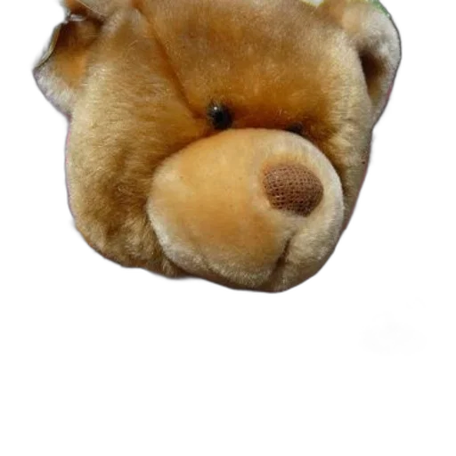 face, staff, animal, hat transparent PNG cut-out