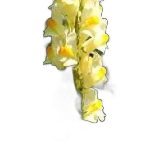 flower, jewelry, staff, food transparent PNG cut-out