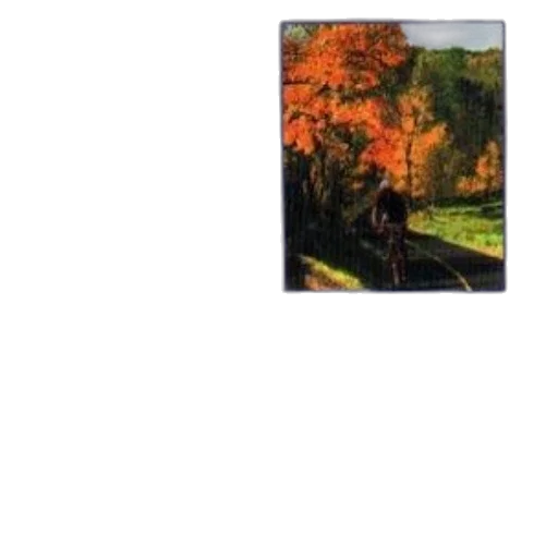 tree, animal, car, dragon transparent PNG cut-out