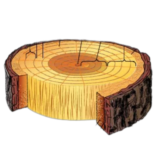 furniture, tree, jewelry, crown transparent PNG cut-out