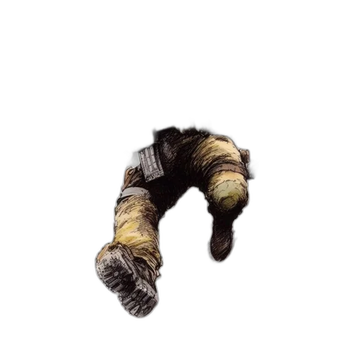 hair, creature, animal, shoes transparent PNG cut-out
