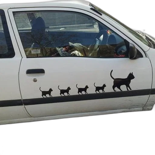 car, animal, white, series transparent PNG cut-out