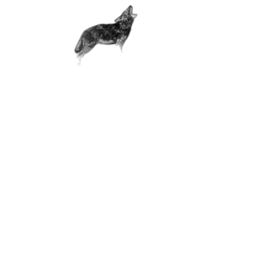 animal, creature, dragon, shoes transparent PNG cut-out