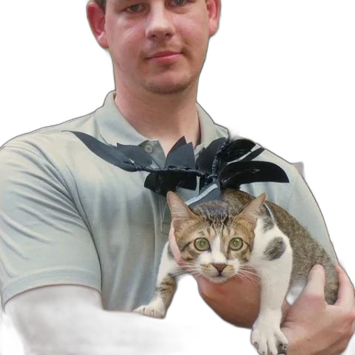 staff, hat, animal, crown transparent PNG cut-out