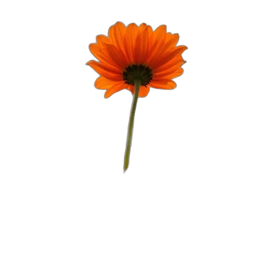 flower, staff, crown, jewelry transparent PNG cut-out