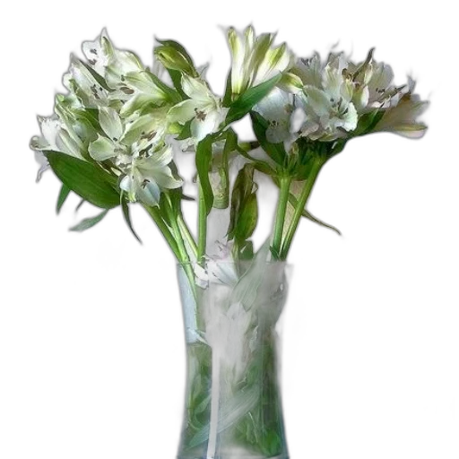 flower, crown, photorealistic, 3d render transparent PNG cut-out