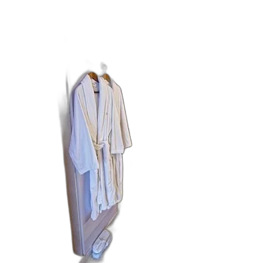 dress, jacket, staff, jewelry transparent PNG cut-out
