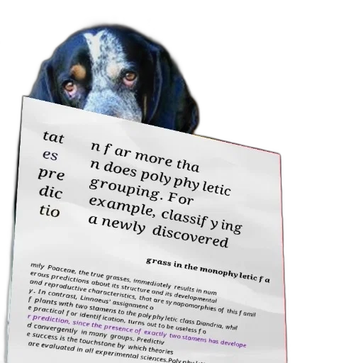 creature, animal, mask, page transparent PNG cut-out