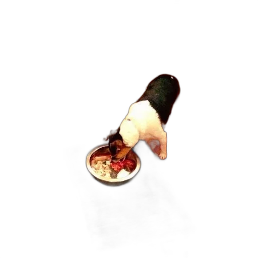 food, staff, weapon, animal transparent PNG cut-out