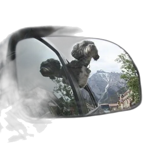 car, dragon, mask, face transparent PNG cut-out