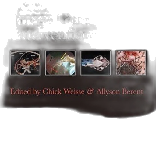 jewelry, creature, concept art, cover transparent PNG cut-out