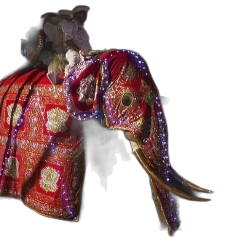 jacket, animal, umbrella, dragon transparent PNG cut-out
