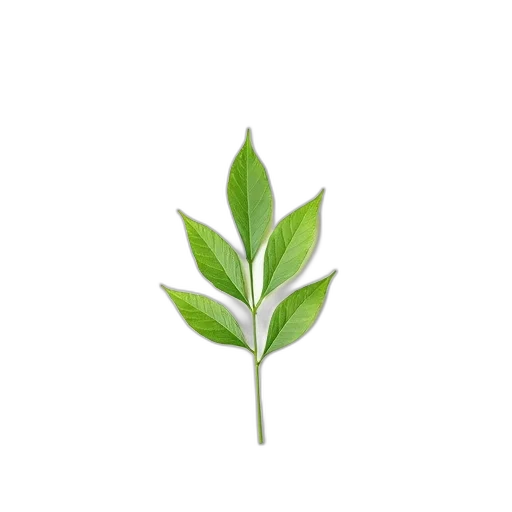 staff, tree, flower, food transparent PNG cut-out