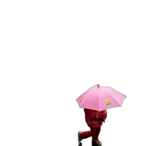 umbrella, staff, hat, jacket transparent PNG cut-out