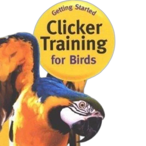 book, cover, titled, clicker transparent PNG cut-out