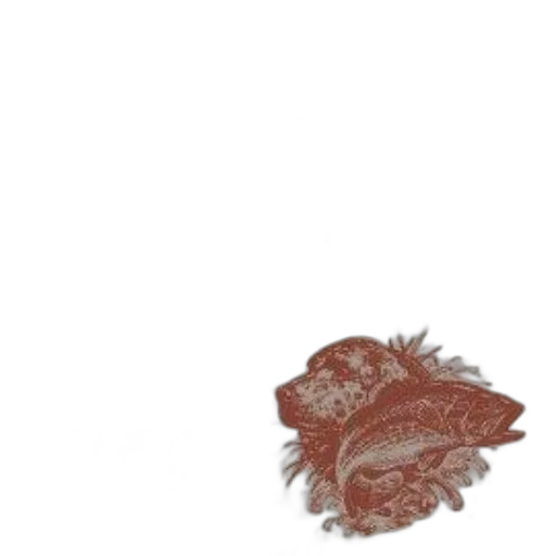 hair, food, dragon, crown transparent PNG cut-out