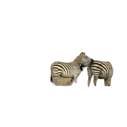 animal, jewelry, furniture, creature transparent PNG cut-out