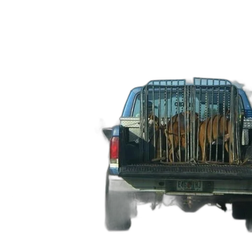 animal, car, furniture, weapon transparent PNG cut-out