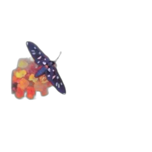 food, umbrella, creature, animal transparent PNG cut-out