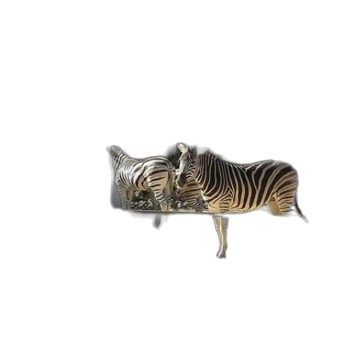 animal, weapon, furniture, staff transparent PNG cut-out