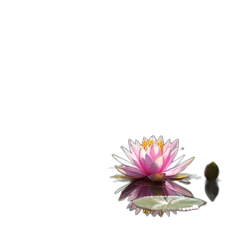 flower, crown, jewelry, staff transparent PNG cut-out