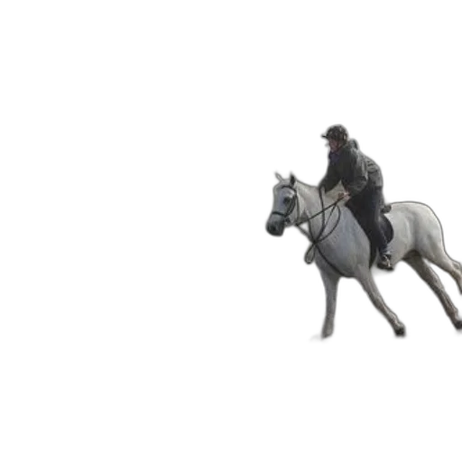 animal, concept art, 3d render, photorealistic transparent PNG cut-out