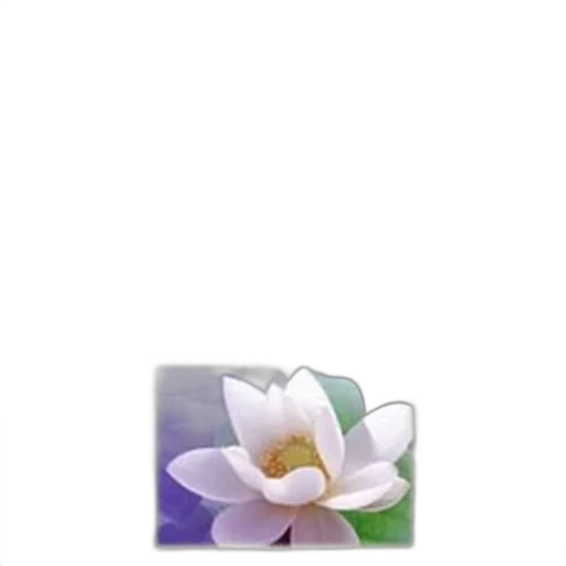 flower, jewelry, crown, staff transparent PNG cut-out