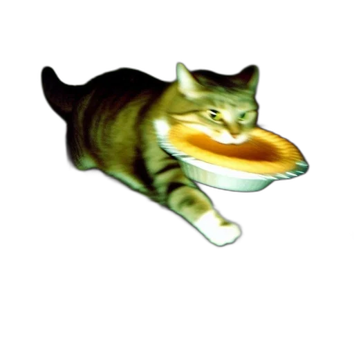 food, animal, creature, weapon transparent PNG cut-out