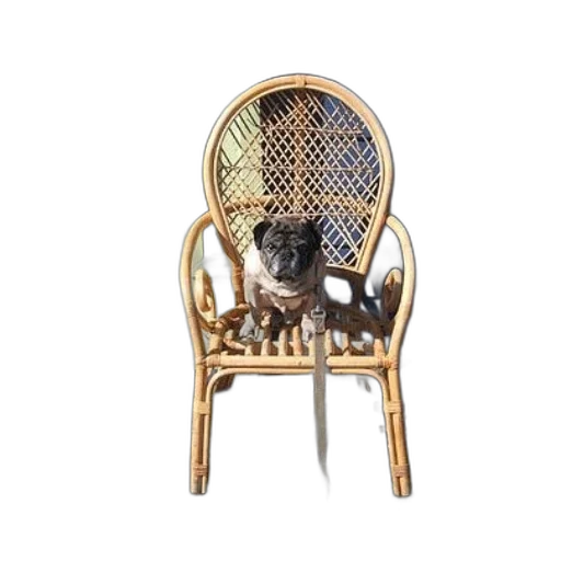 furniture, animal, jewelry, crown transparent PNG cut-out