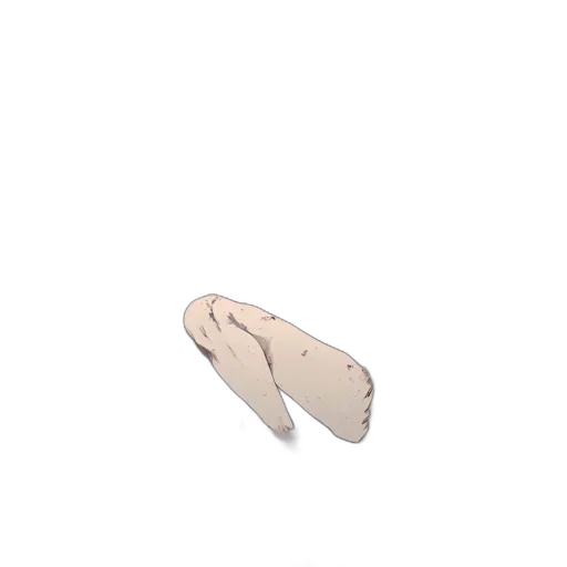 shoes, hat, jewelry, umbrella transparent PNG cut-out
