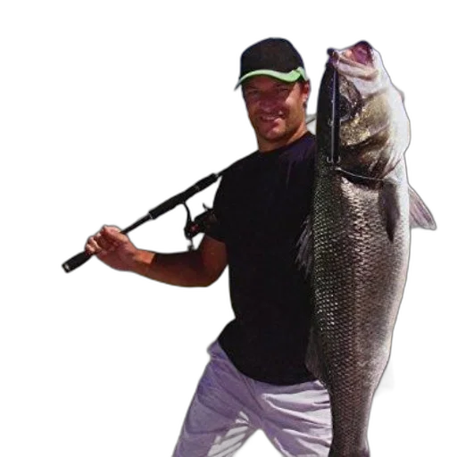 staff, animal, weapon, creature transparent PNG cut-out