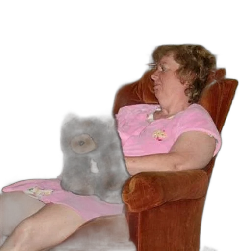 furniture, creature, animal, staff transparent PNG cut-out